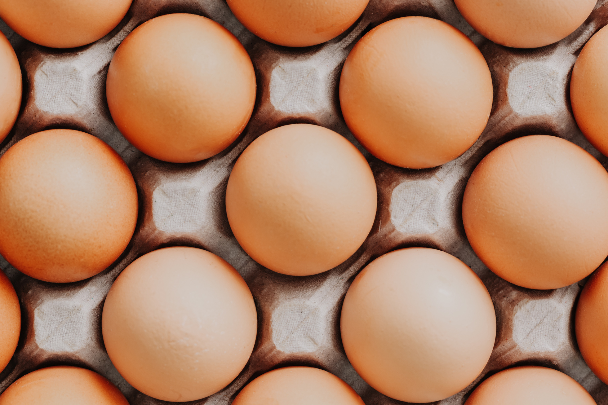 Brown Eggs on an Egg Tray 